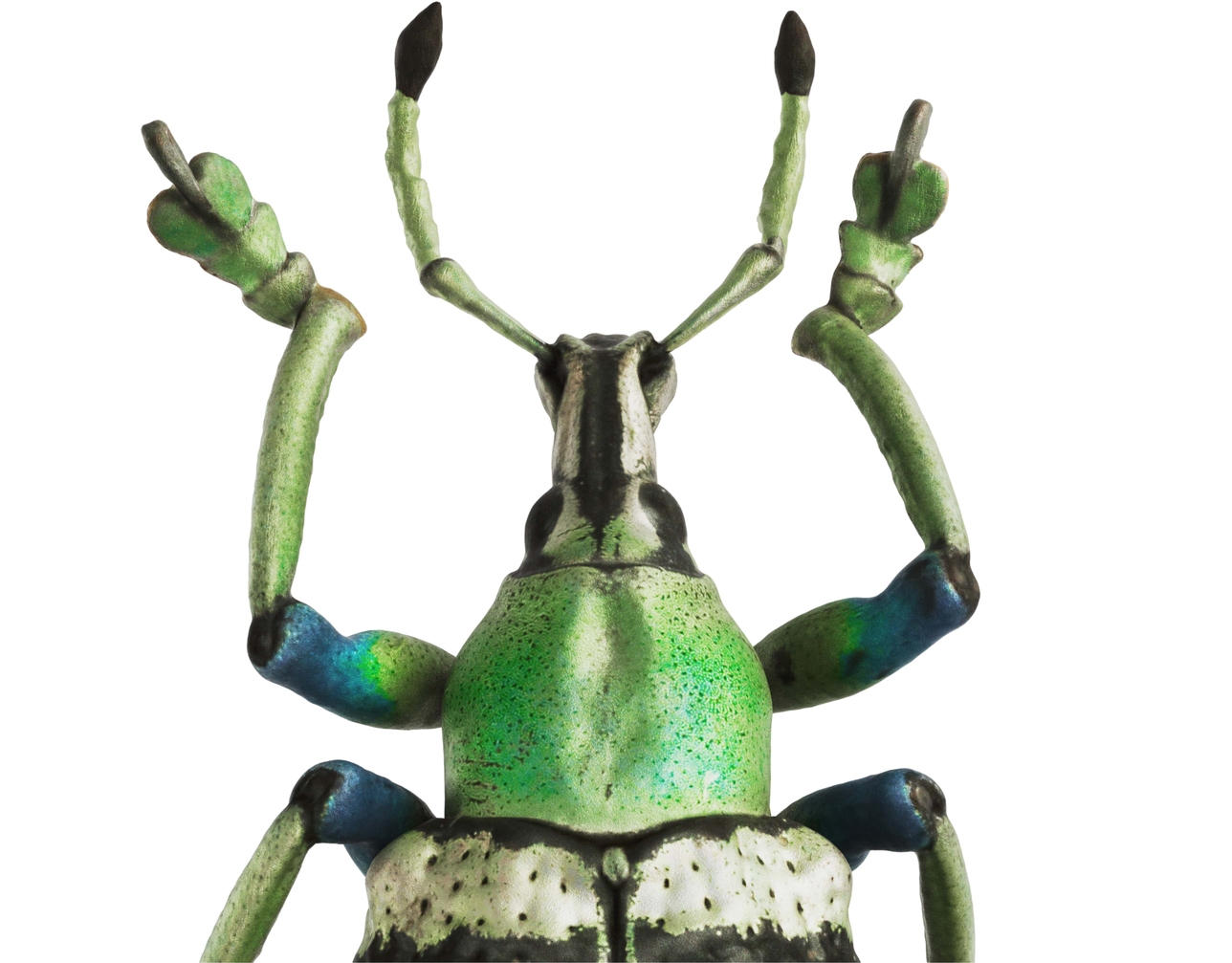 Create photorealistic 3D models for CGI via photo texturing